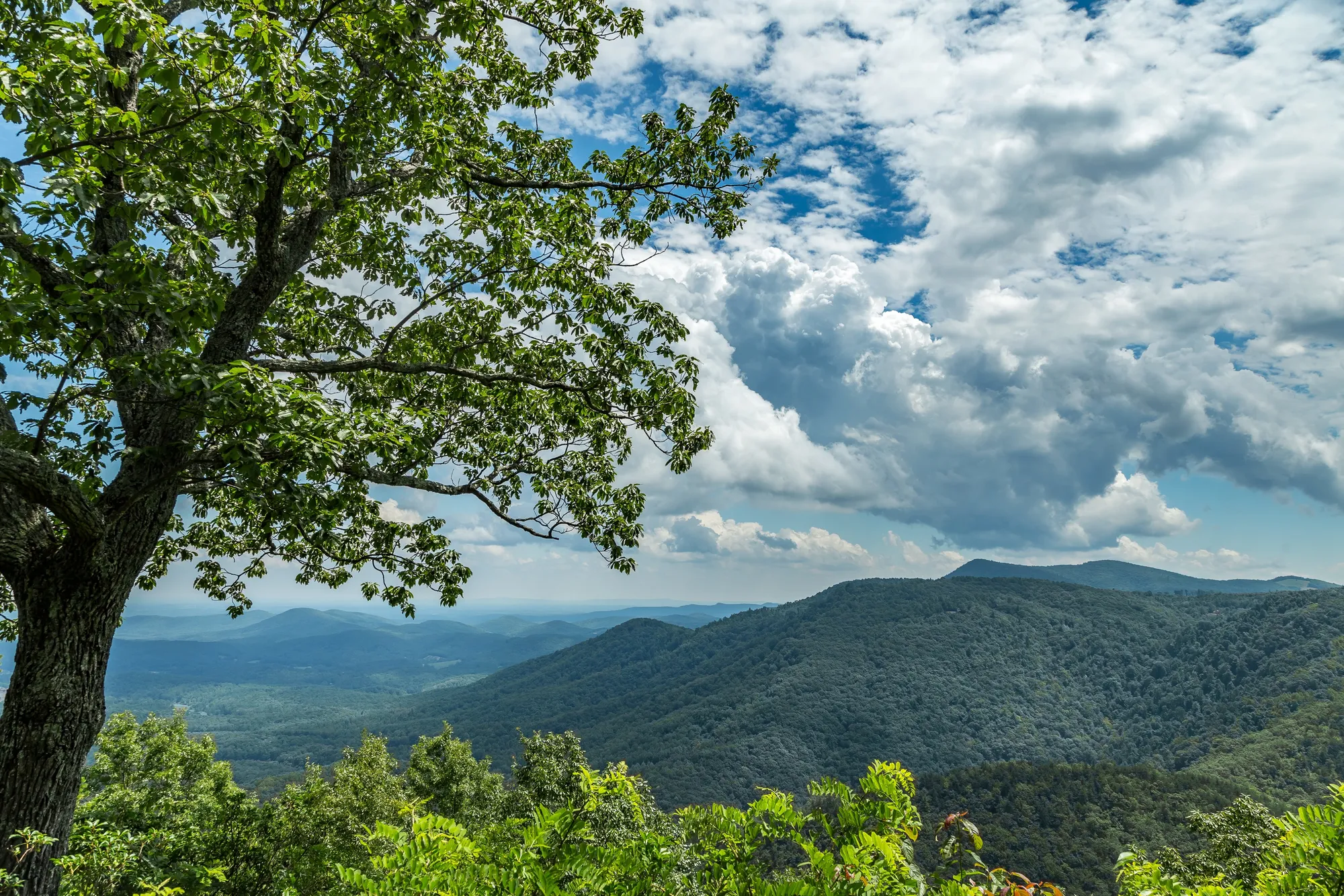 Blue Ridge mountain landscape